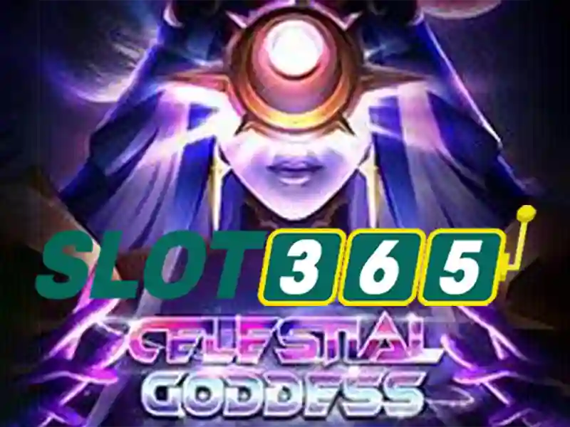 Sản phẩm và Dịch vụ cốt lõi: Ứng dụng của đăng ký Slot365