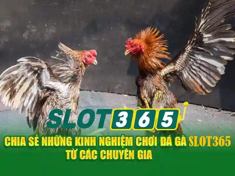An toàn, quyền sở hữu và thanh toán