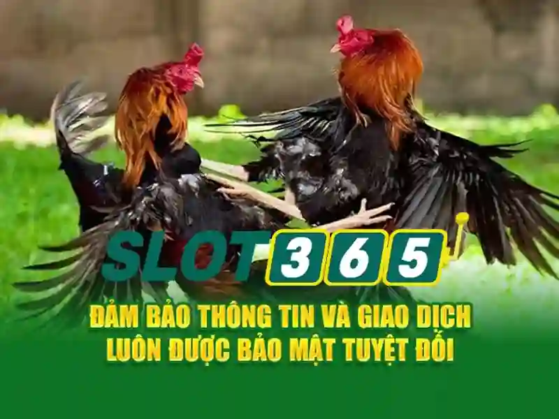 Soi kèo hiệp 1