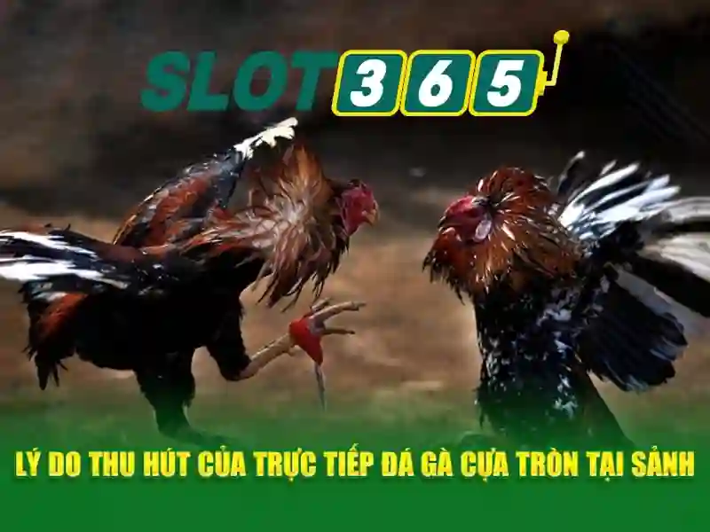 Live slot365 login - Khám phá trải nghiệm và an toàn Slot365 1 Đăng Nhập
