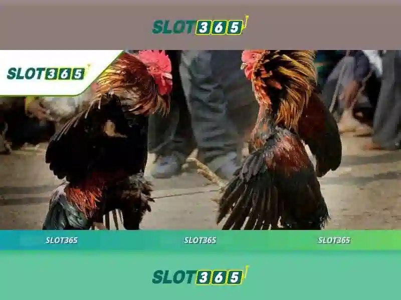 Đa dạng trò chơi slot và tính năng