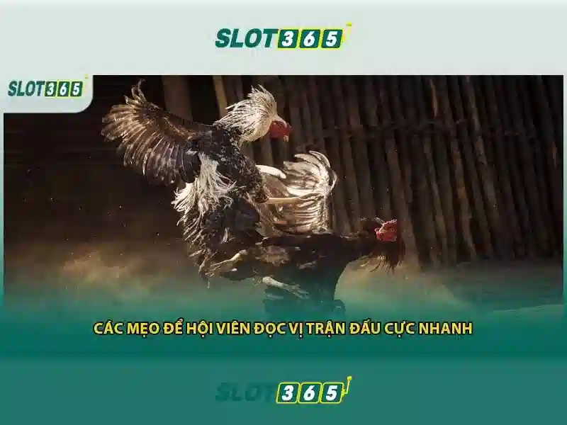 Soi kèo hiệp 1