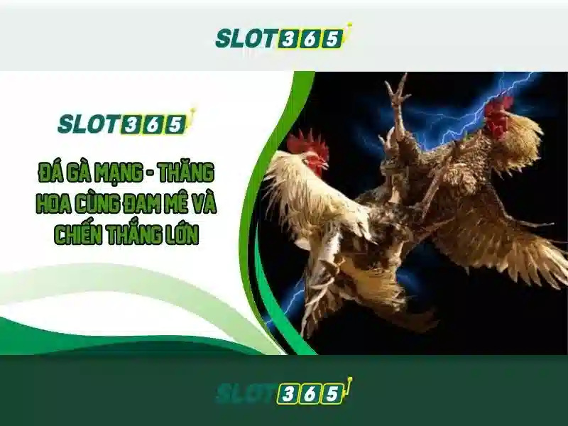 Ưu điểm của Slot365 Ưu điểm của Slot365