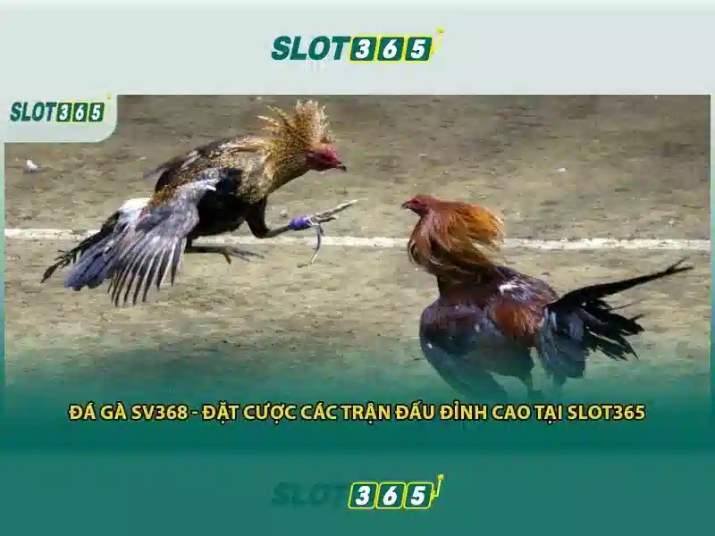 Trải nghiệm trò chơi và giao diện
