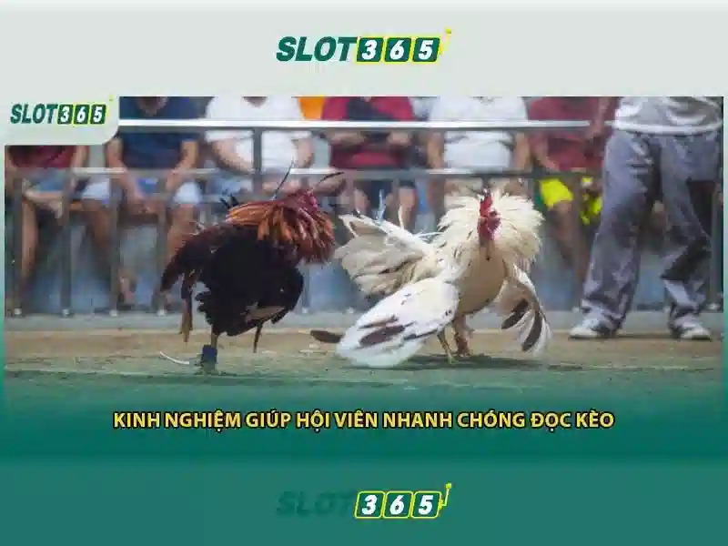 <!--IMG_PLACEHOLDER alt>Huong toi tuong lai cua https t ly slot365--> <!--IMG_PLACEHOLDER alt>Huong toi tuong lai cua https t ly slot365-->