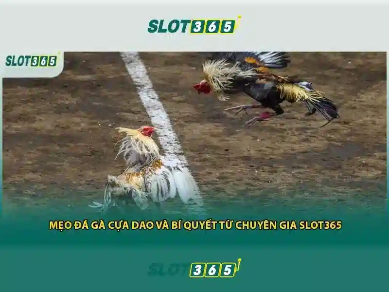 slot365. com – tâm điểm của người chơi