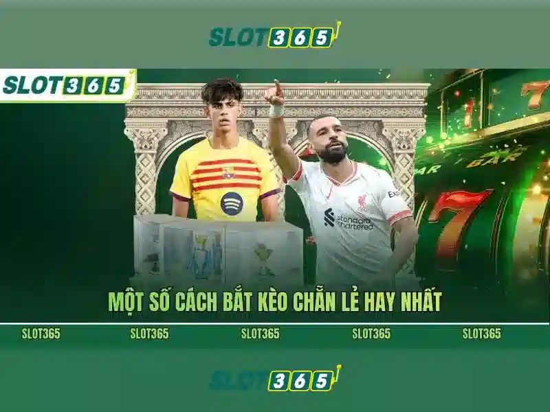 Khám phá các tính năng nổi bật và cơ chế an toàn
