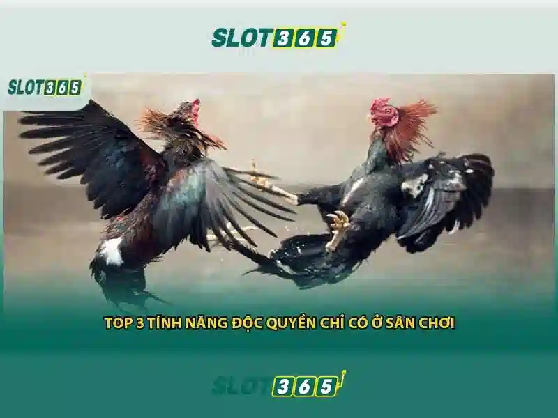 Khuyến mãi và chương trình thưởng