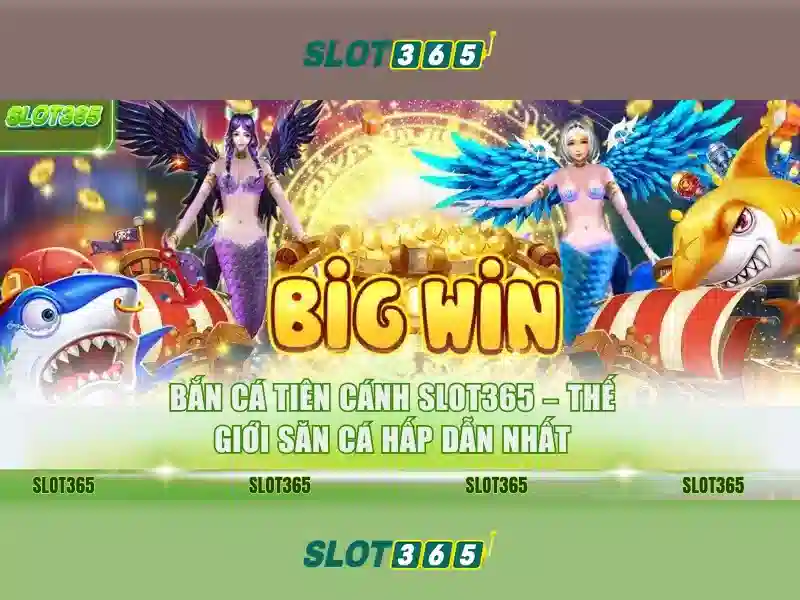 Slot365 là gì?