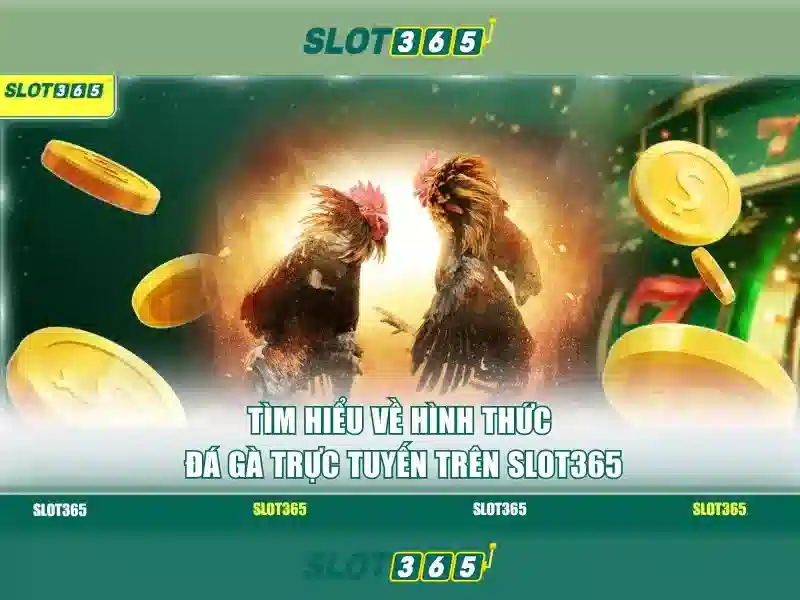 Slot365: Đánh giá và tổng quan 1 Đăng Nhập