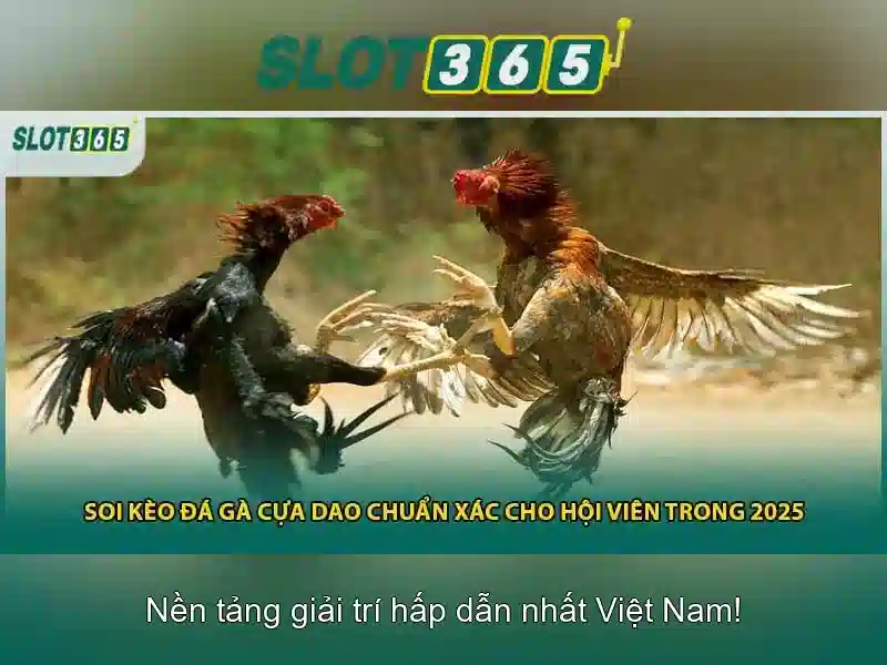 Đa dạng trò chơi và nhà cung cấp hàng đầu