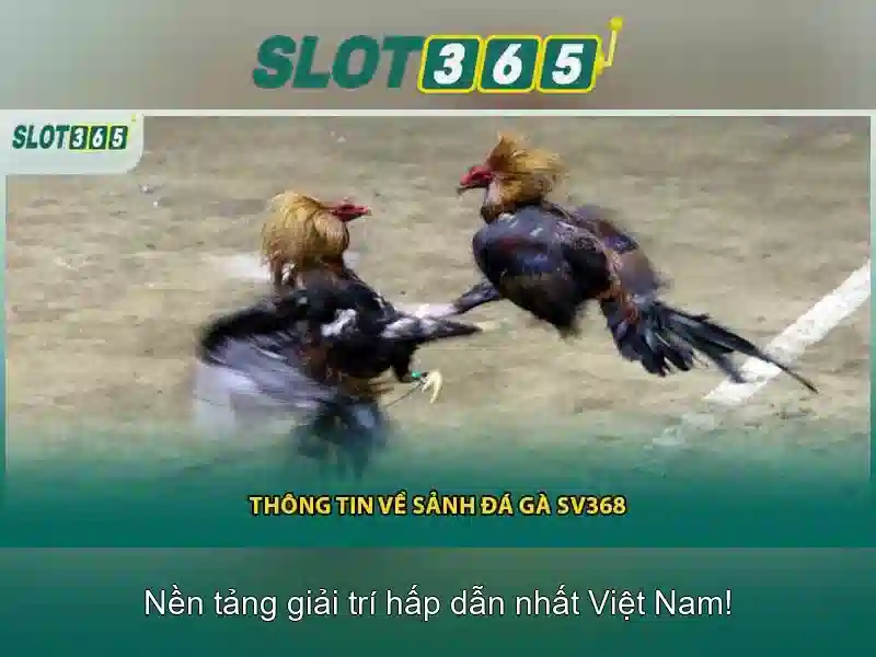 Slot365: Nền tảng giải trí và cơ hội trúng thưởng 1 Đăng Nhập