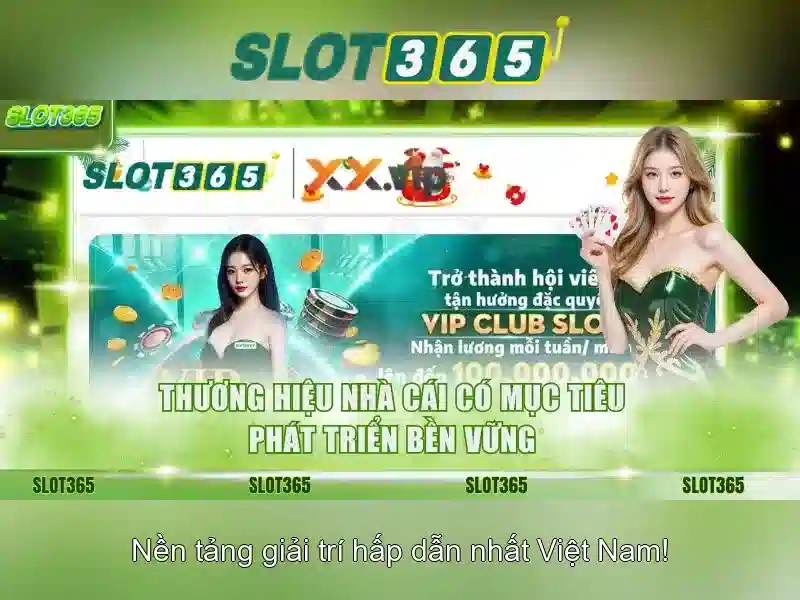 An toàn và thanh toán