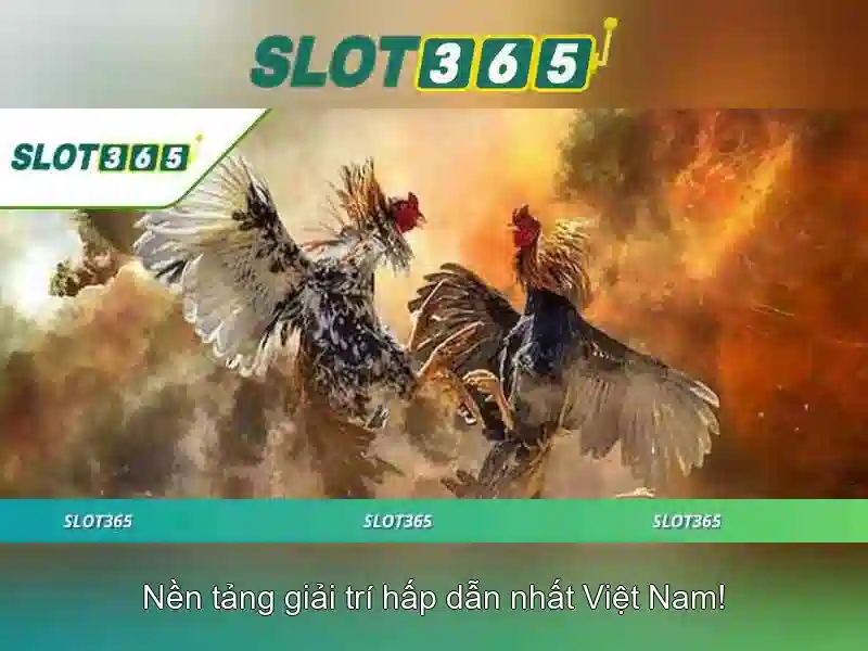 Thanh toán và rút tiền