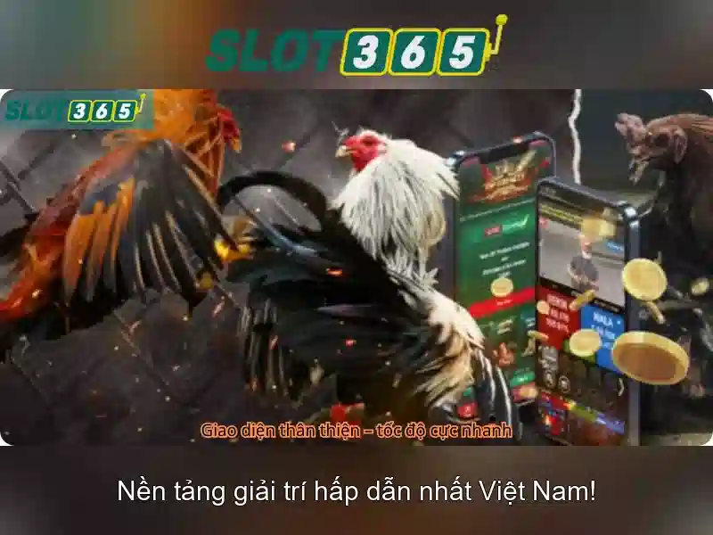 An toàn và thanh toán