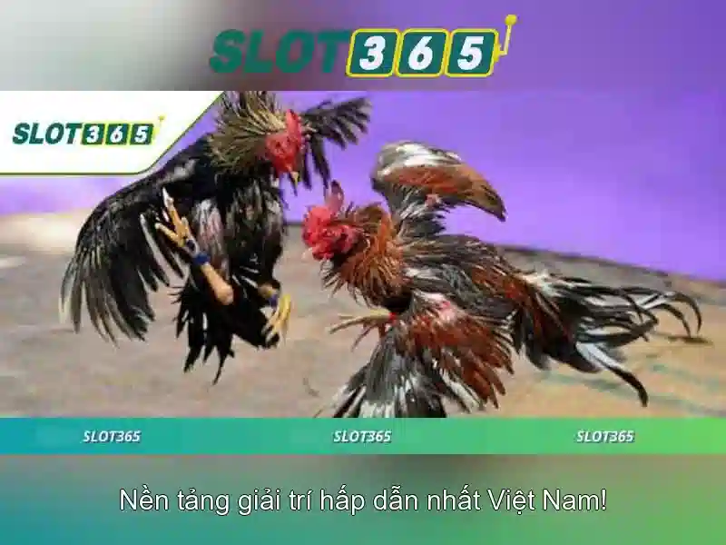 Trải nghiệm người chơi tại Slot365
