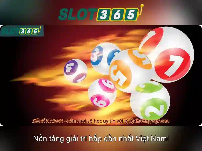Khuyến mãi hấp dẫn và chương trình hoàn tiền