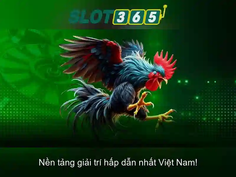Soi kèo hiệp 1
