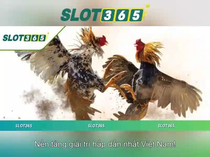 Ưu đãi và giao diện người dùng tối ưu