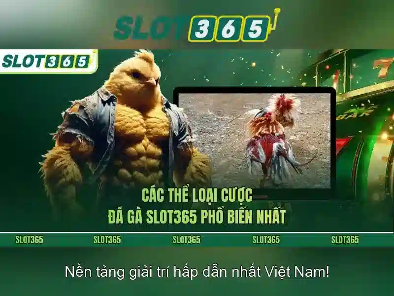 Thanh toán an toàn và hỗ trợ khách hàng