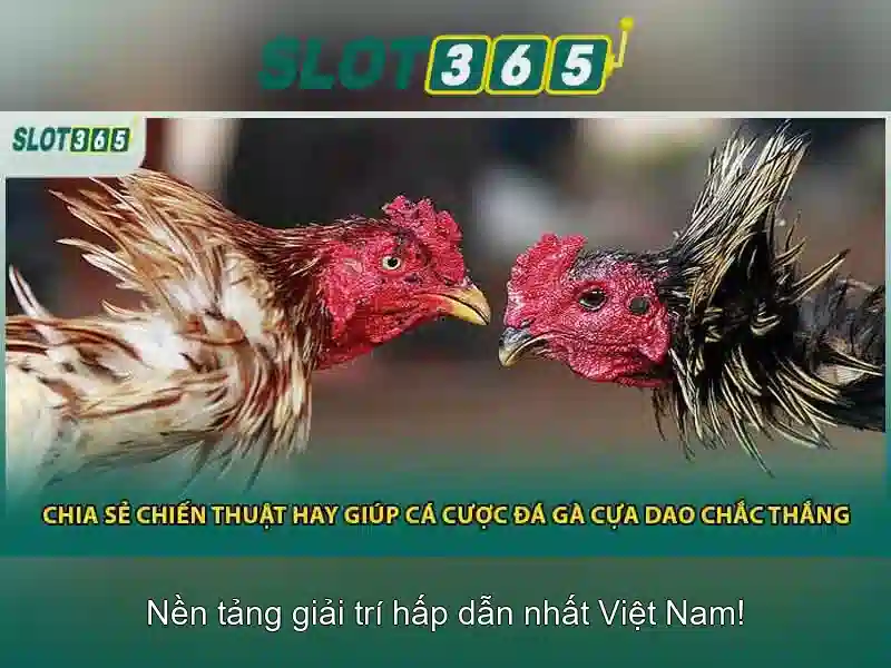 Soi kèo hiệp 1