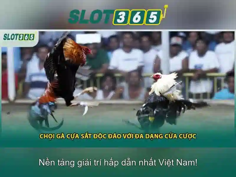 Trò chơi slot phổ biến\n\n