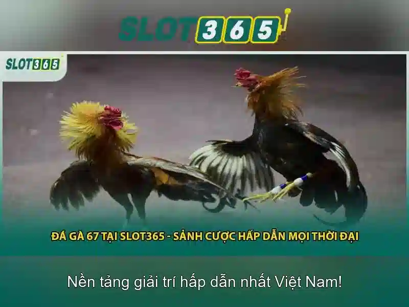 Đăng Nhập