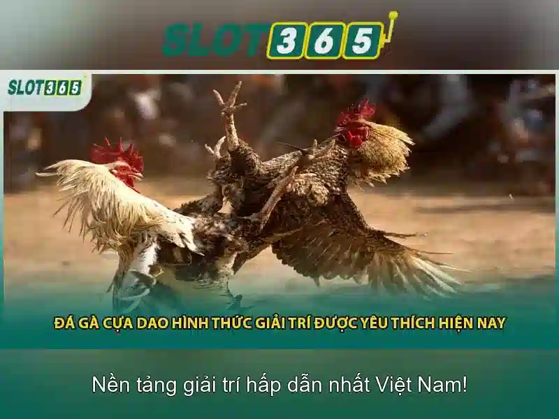 Danh mục trò chơi và slot