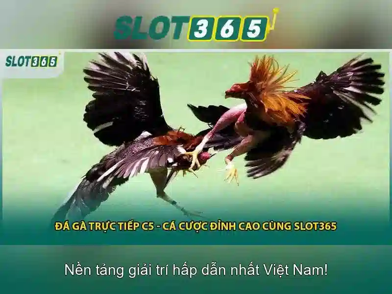 Đăng Nhập