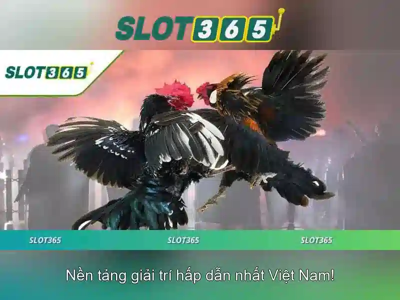 Slot365: Nền tảng chơi game trực tuyến an toàn và đáng tin cậy\n
