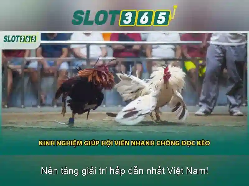 Đăng Nhập