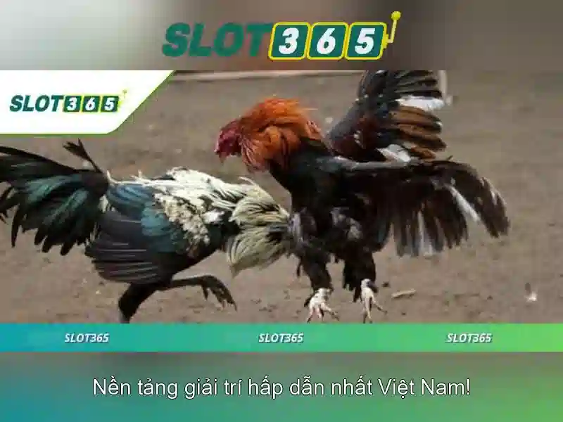 Đăng Nhập