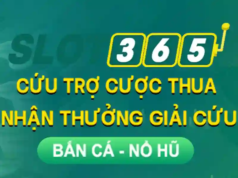 Slot365 là gì? Slot365 là gì?