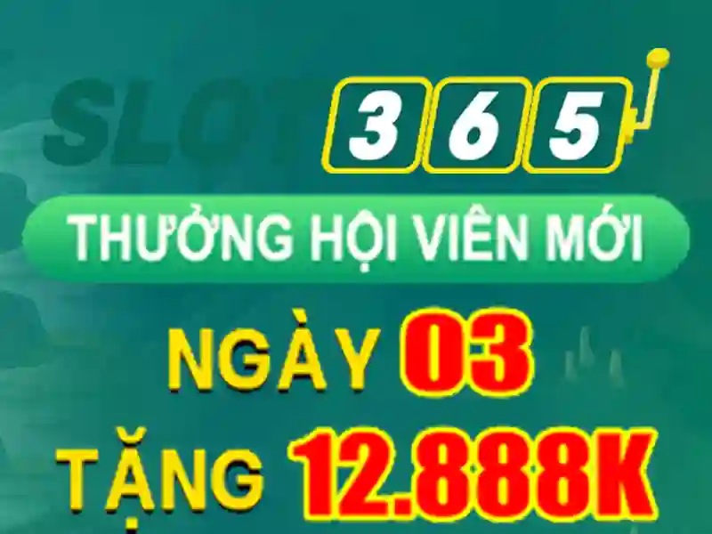 Giao diện người dùng và trải nghiệm di động